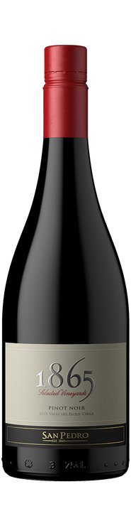 Rótulo 1865 Selected Vineyards Pinot Noir 