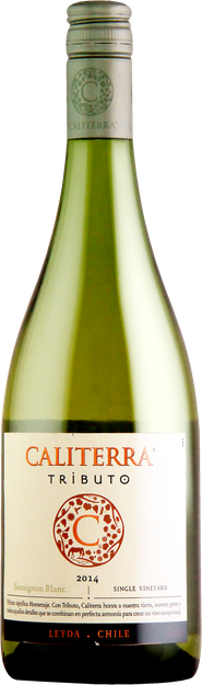 Rótulo Caliterra Tributo Single Vineyard Sauvignon Blanc 