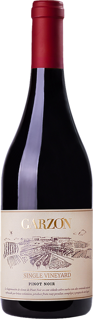 Rótulo Garzón Single Vineyard Pinot Noir