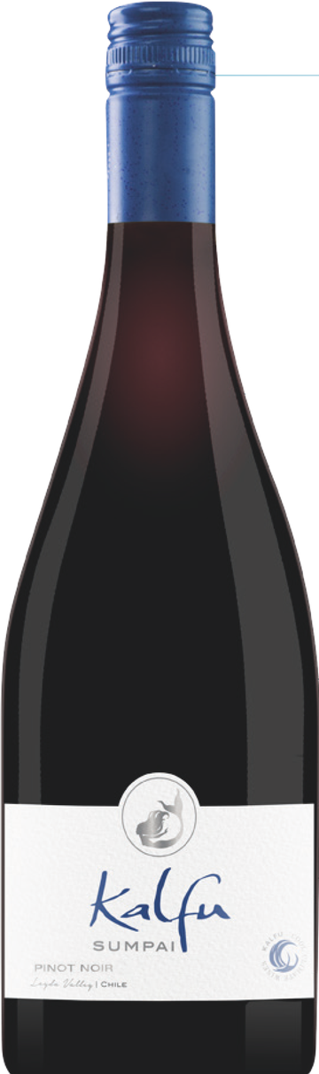 Rótulo Kalfu Sumpai Pinot Noir
