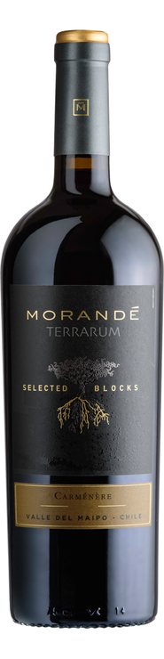 Rótulo Morandé Terrarum Selected Blocks Carménère