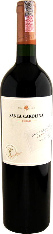Rótulo Santa Carolina Specialties Dry Farming Carignan