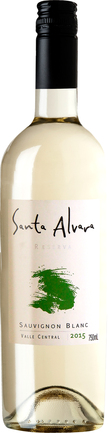 Rótulo Santa Alvara Sauvignon Blanc