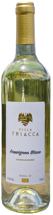 Rótulo Villa Triacca Sauvignon Blanc