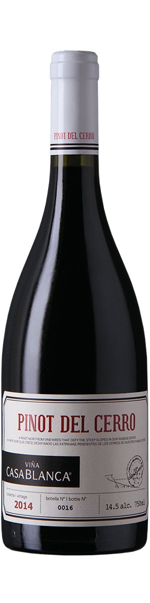 Rótulo Viña Casablanca Pinot del Cerro Pinot Noir